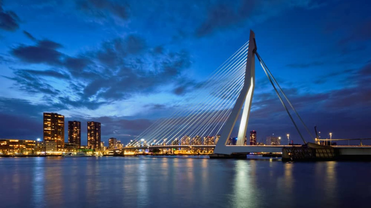 onderbreken lunch borst Ecosystem Spotlight: 5 Questions to … Up!Rotterdam | Dealroom.co